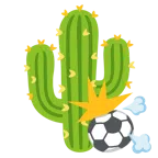pallone da calcio + cactus