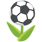pallone da calcio + tulipano