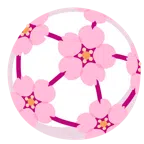 pallone da calcio + fiore di ciliegio