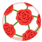 pallone da calcio + rosa