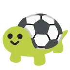 サッカー + カメ
