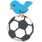 pallone da calcio + uccello