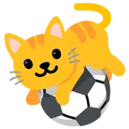 pallone da calcio + muso di gatto