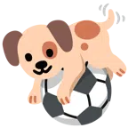 pallone da calcio + muso di cane