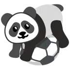 pallone da calcio + panda