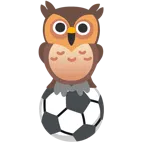 pallone da calcio + gufo