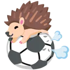 pallone da calcio + riccio