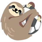 pallone da calcio + bradipo