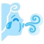 face with tears of joy + wind face