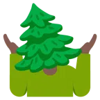 persona encogida de hombros + árbol de hoja perenne