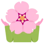 persona encogida de hombros + flor de cerezo