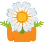 persona encogida de hombros + flor