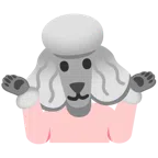 persona encogida de hombros + caniche