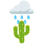 Wolke mit Regen + Kaktus
