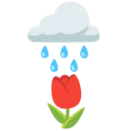 Wolke mit Regen + Tulpe