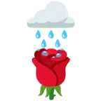 Wolke mit Regen + Rose