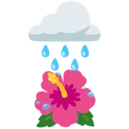 Wolke mit Regen + Hibiskus