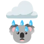Wolke mit Regen + Koala