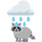 Wolke mit Regen + Waschbär
