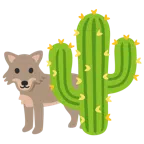 Wolf + Kaktus