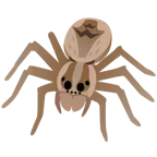 Wolf + Spinne