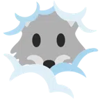Wolf + Gesicht in Wolken
