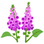 Fuchs + gelbe Blüte
