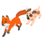 Fuchs + Hundegesicht