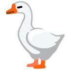 gęś + twarz bez wyrazu