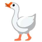 gęś + całująca twarz