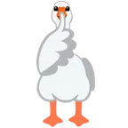 gęś + uciszająca twarz
