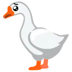 gęś + błagająca twarz