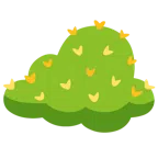 Kaktus + Wolke