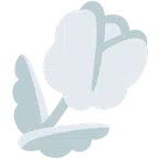 tulipán + nube