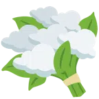 ramo de flores + nube