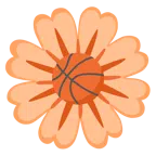 バスケットボール + 開花
