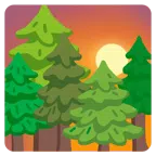 tramonto + albero sempreverde