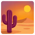 tramonto + cactus