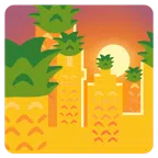 tramonto + ananas