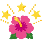 funkelnder Stern + Hibiskus