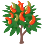 Nadelbaum + Peperoni