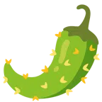 Kaktus + Peperoni
