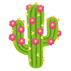 Kaktus + Blumenstrauß