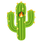 Kaktus + Feuer