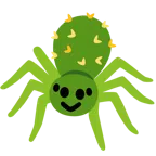 Kaktus + Spinne