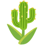tulipán + cactus