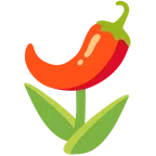 Tulpe + Peperoni