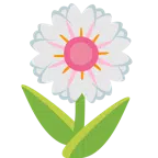 tulipán + flor