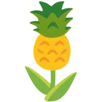 Tulpe + Ananas