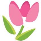 tulipán + corazón roto